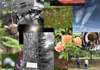 Photography Workshops return to Winsford